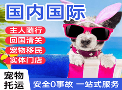 图木舒克唐王城航空空运国际宠物托运 【国